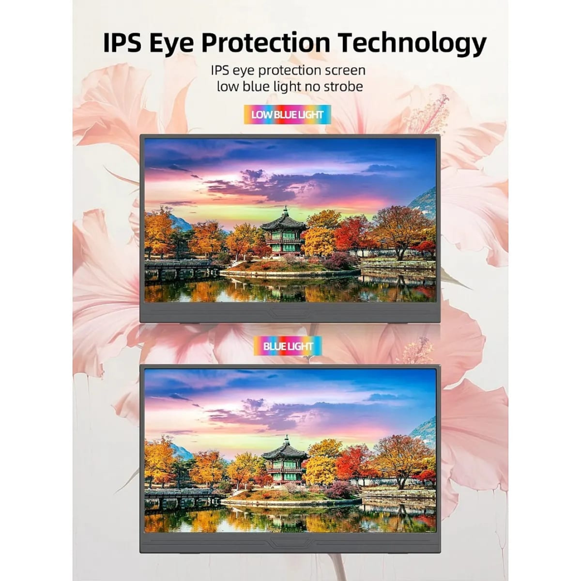 ZSUS 15.6-Inch Portable Monitor: 1080P HDR, 16:9, Low Blue Light for Xbox, PS4/5, Switch, Cell Phone, PC, Laptop Extension My Store